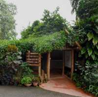 Phu Chaisai Mountain Resort 