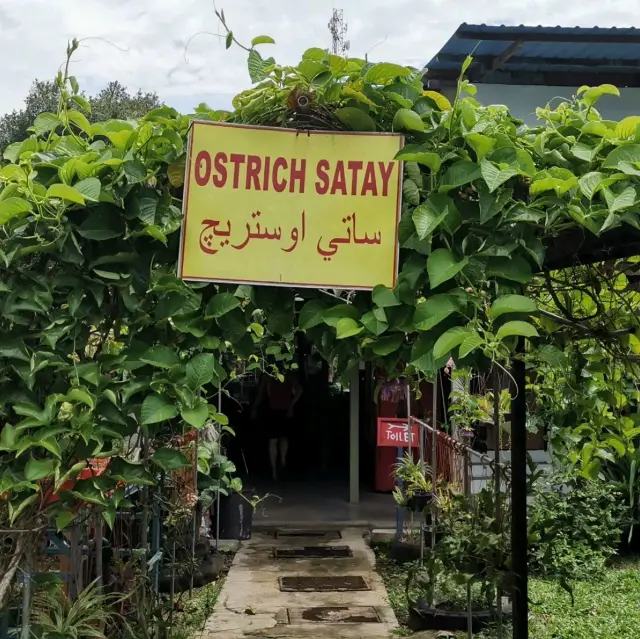 Who try Ostrich Satay?