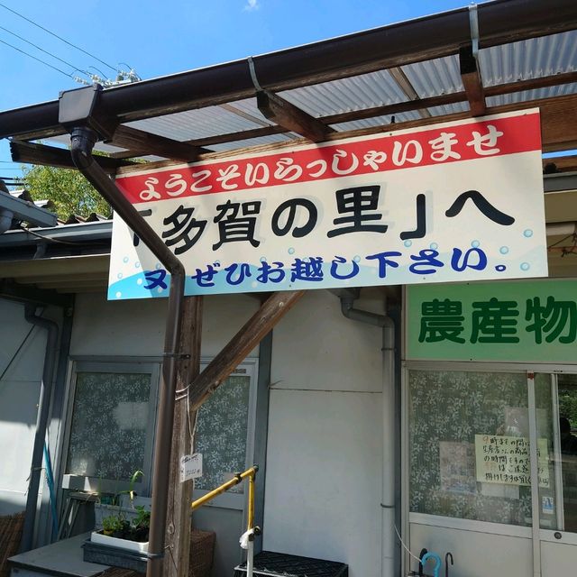 愛知旅行！「多賀の里」「魚弘」