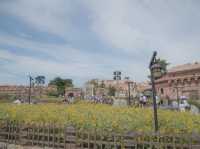 40周年イベント開催中のディズニーシー