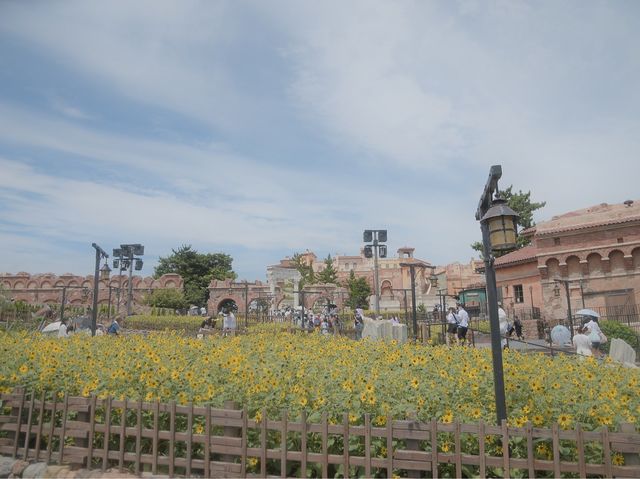 40周年イベント開催中のディズニーシー 40周年イベント開催中のディズニーシー