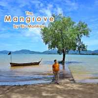 The Mangrove by Blu Monkey 