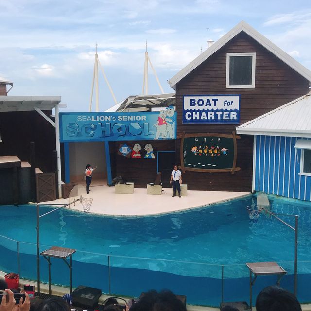 花蓮｜遠雄海洋公園🐟🐬🦭親子一定要來的好去處⛱️