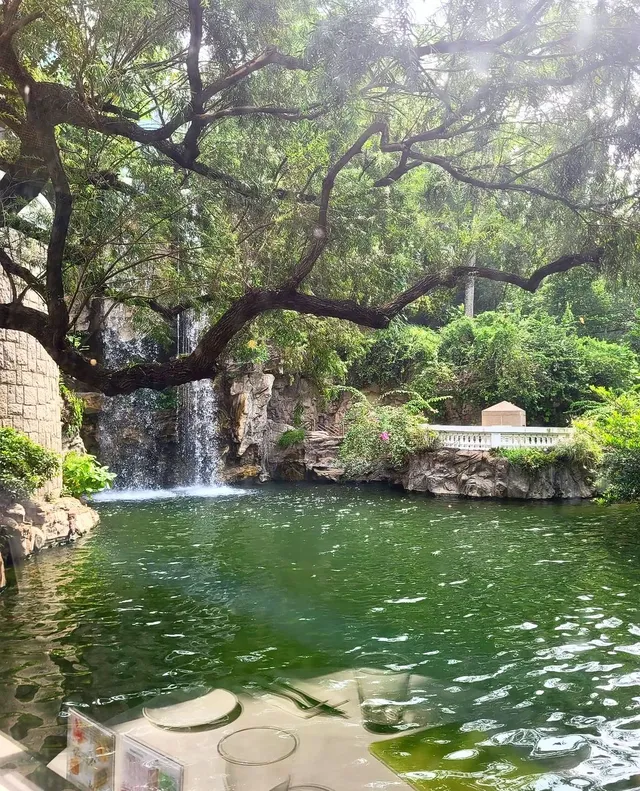 香港公園湖畔餐廳Pondside