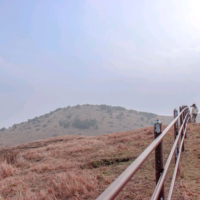아름답기에 보호해야 할 용눈이오름