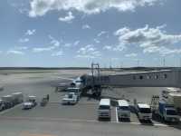 北海道から愛知へ JALでひとっ飛び!快適空の旅