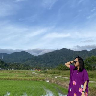 Greenery Landscape of Lenggong