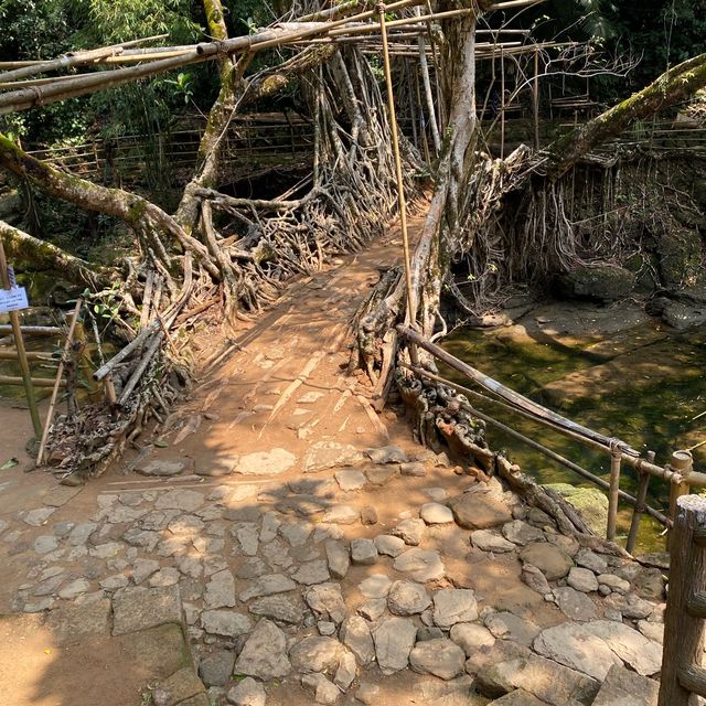 Magical Meghalaya