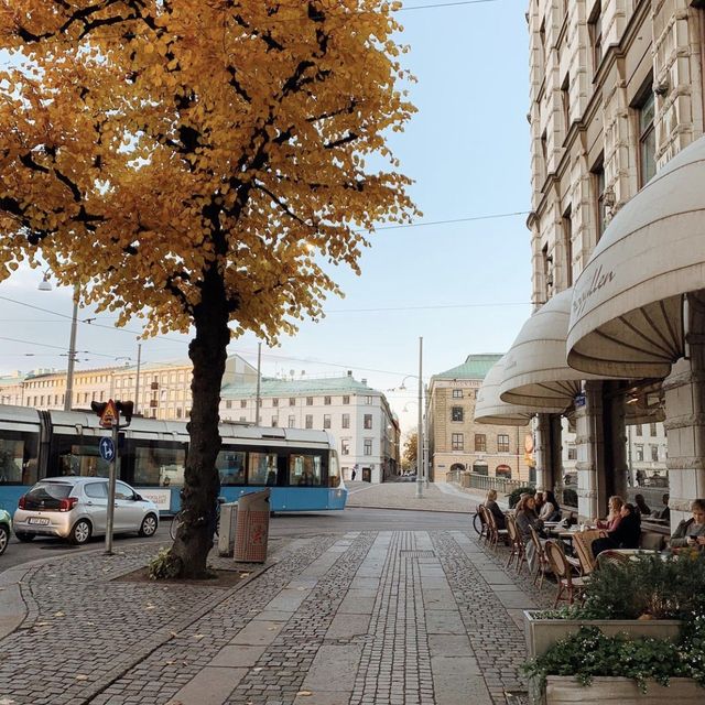Visit Gothenburg in the fall is just  👌🏻