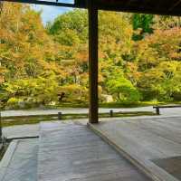 京都南禪寺🙏🏻禪修之旅中的和諧花園 🍵🌸