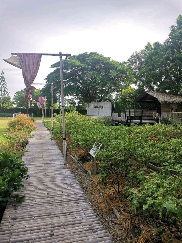 เที่ยวราชบุรี+เขางู+ตลาดโอ๊ะป่อย++