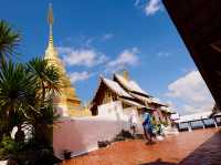 ✨ วัดพระธาตุปูแจ สักการะ ไหว้พระขอพร🙏🏻😇
