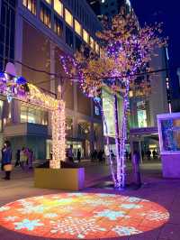 北海道　札幌観光　いよいよ開催！札幌ホワイトイルミネーション！