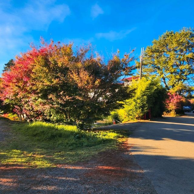 Fushoushan Farm