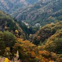 飛仙台 🦋🏞️高空徜徉的仙境🌌