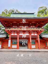 【埼玉】武蔵一宮氷川神社⛩