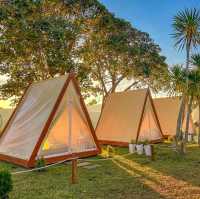 ที่พักเปิดใหม่เขาค้อ สไตล์แกลมป์ปิ้ง ฟีลดีมาก เพียงคนละ 590 บาท🏕️⛰️