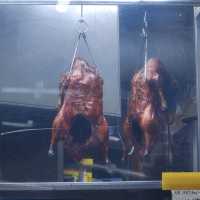 Beijing Duck restaurant recommendation.