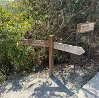 大欖涌郊野公園,千島湖一遊