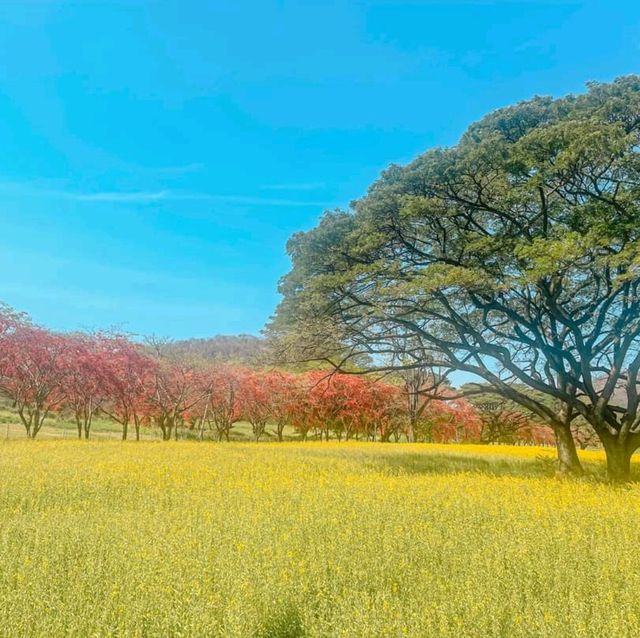 เที่ยวสระบุรีกันจร้า  ฟาร์มโคนมไทยเดนมาร์ค