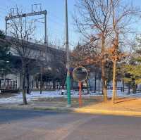 長榮台灣飛往首爾仁川