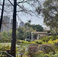 青衣休憩公園🫶🏻草地池塘😍散步🚶🏻‍♀️好去處