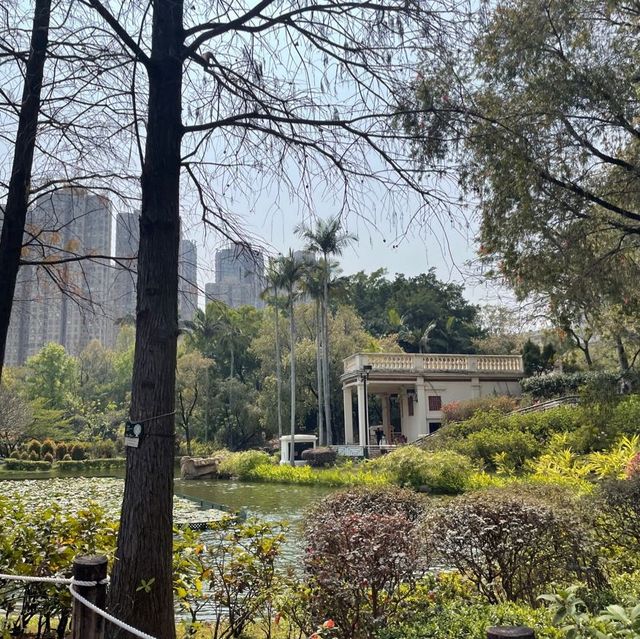 青衣休憩公園🫶🏻草地池塘😍散步🚶🏻‍♀️好去處