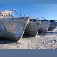 An exhibition of unusual sculptures on lake Baikal