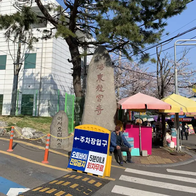 韓國三大觀音聖地之一｜海東龍宮寺