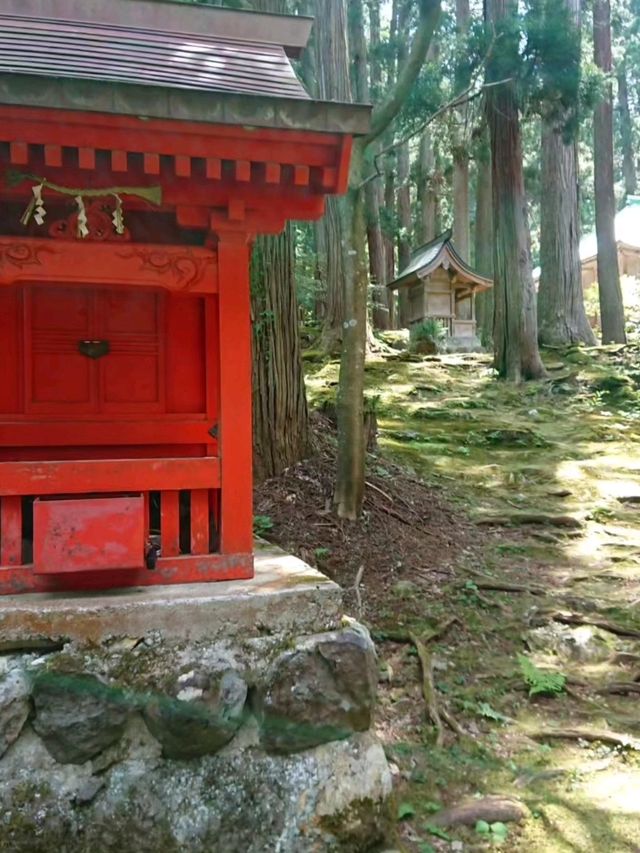 【福井】白山平泉寺／平泉寺白山神社