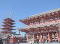 大人気な浅草寺