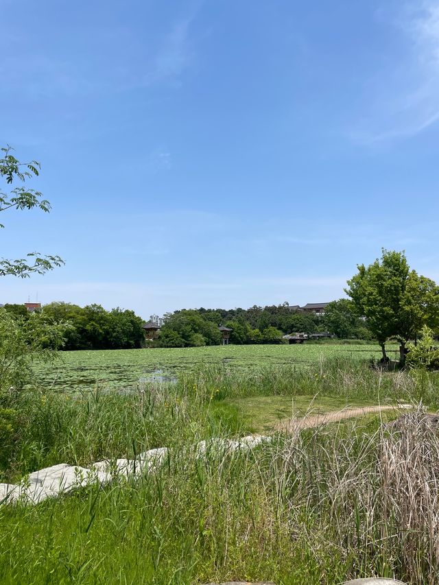 재충전하기 좋은 전주덕진공원🏞️