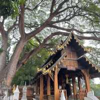 วัดชัยมงคล ทำบุญทำทานครบจบในที่เดียว📍
