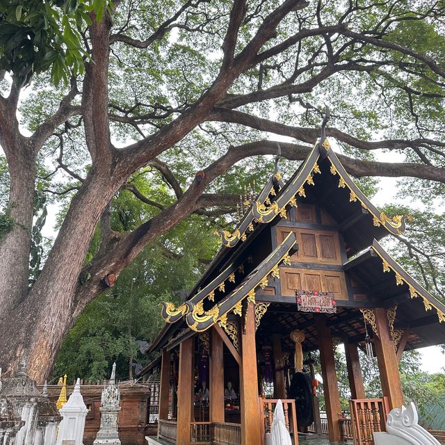 วัดชัยมงคล ทำบุญทำทานครบจบในที่เดียว📍