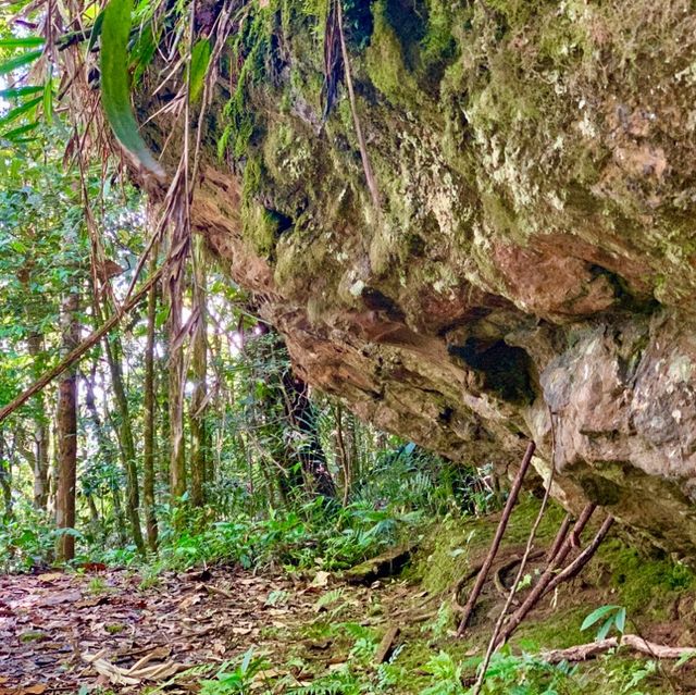 Kinabalu Park trails for the explorer!