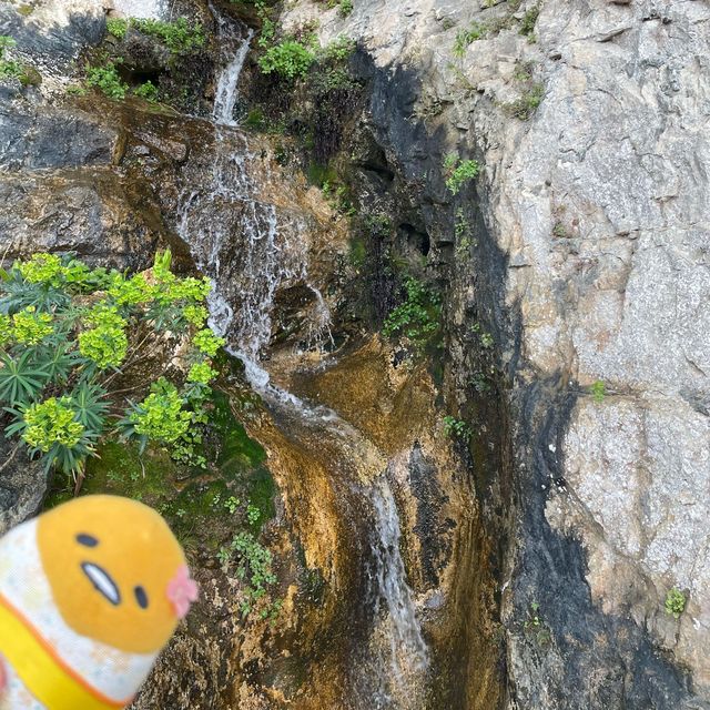 充滿仙人掌和女人雕像嘅花園🌵南法必去Eze小鎮😝