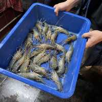 【台湾/台北】観光者でも楽しめる地元のエビ釣り店「全佳樂釣蝦場」