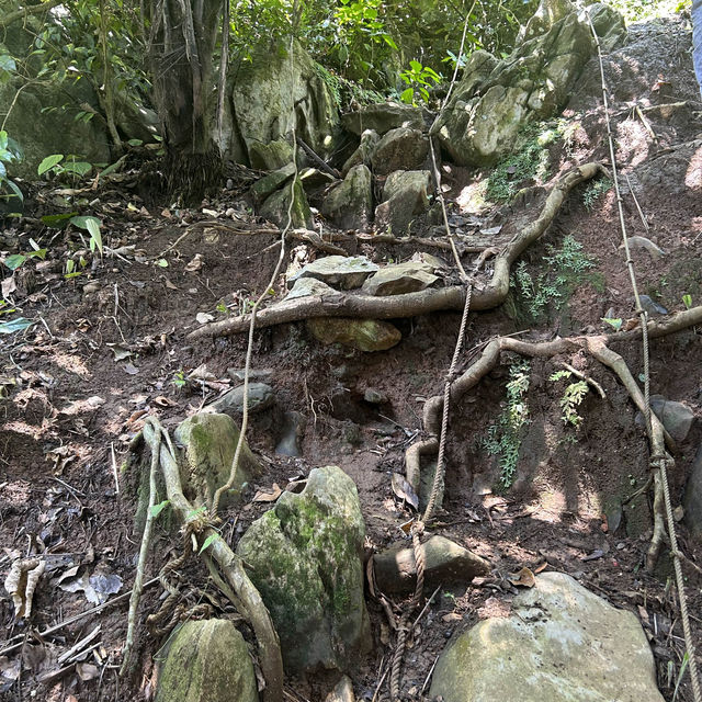 話望生的登山徑