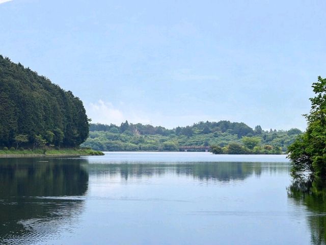 다이아몬드 후지를 볼 수 있다는 후지노미야 타누키호수 田貫湖