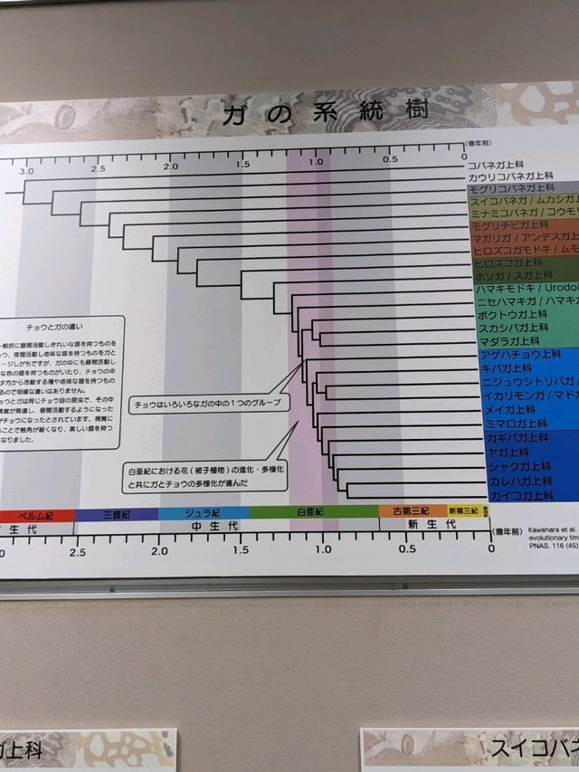 【大阪箕面】箕面の森と虫のミュージアム