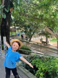 🇨🇳深圳｜親子遊x 深圳野生動物園🌟