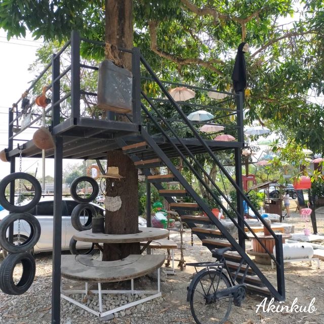 check in คาเฟ่