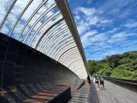 Henderson Waves