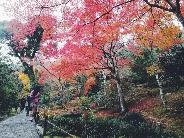 📍Tenryu Ji Temple