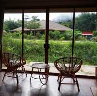 The Liveliwoods บ้านป่าร่าเริง