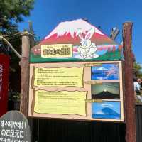 🌄天上山公園🎡絕美富士山🗻