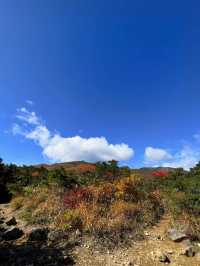 【福島】絶景すぎる日本百名山安達太良山