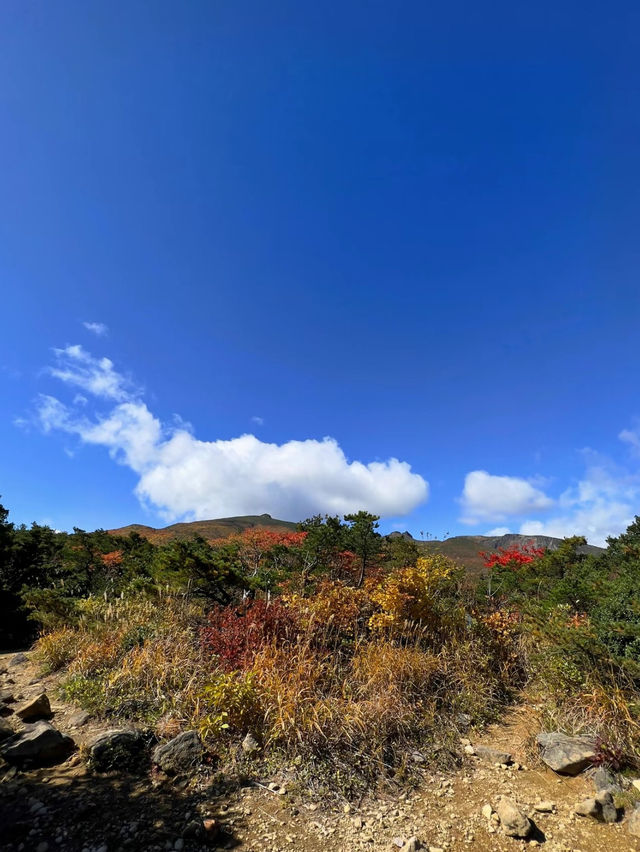 【福島】絶景すぎる日本百名山安達太良山