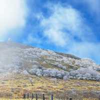 初心者おすすめ登山スポット【霧ヶ峰編】