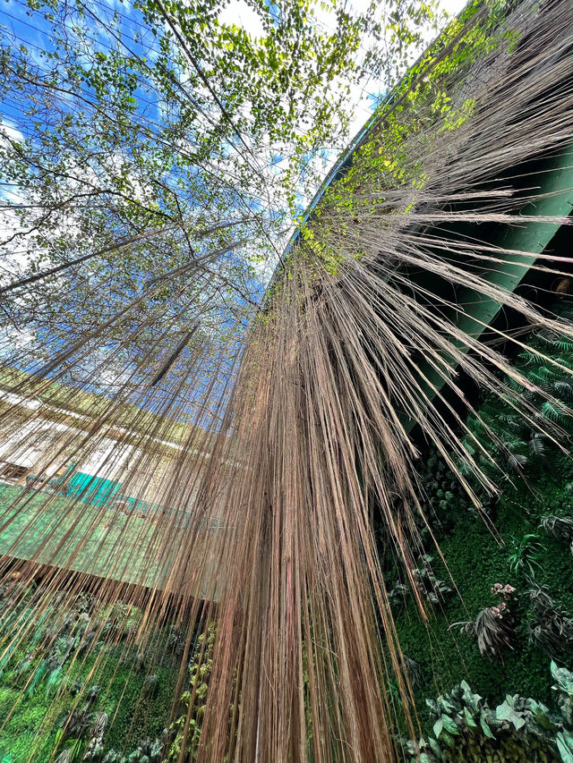🇵🇭馬尼拉｜菲律賓最大的海洋公園
